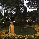 ���� �������, ������������ - ��������� 3 ���� 2018 � ������ ���� ����������