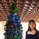 ���� ����, ����������, 42 ���� - ��������� 23 ������� 2017 � ������ ���� ����������