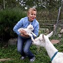 ���� �����, ������������, 51 ��� - ��������� 30 ������ 2017 � ������ ���� ����������