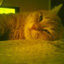 ���� ����, ������ - ��������� 28 ������ 2018 � ������ ������ ��������