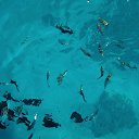 ���� Zoja, ������, 61 ��� - ��������� 20 ������ 2018 � ������ �zima,janvar 2018�