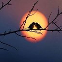 ���� �����, ������������ - ��������� 18 ������� 2018 � ������ ������ ��������