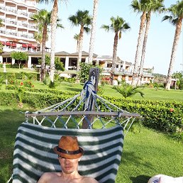 ����, ������, 41 ���