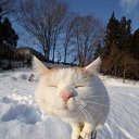 ���� Bes Predel, ��������, 40 ��� - ��������� 18 ������ 2018 � ������ ���� ����������