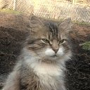  ******, , 53  -  9  2018    