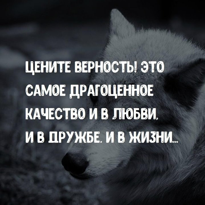 Юрий Богданов - 18 июня 2018 в 11:41