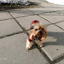 ���� �����, �������, 47 ��� - ��������� 3 ��� 2018 � ������ ���� ����������