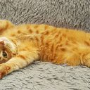 ���� X@ndrr, ��������, 44 ���� - ��������� 17 ������� 2017 � ������ ������ ��������