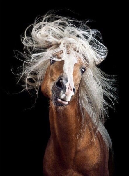 Art & Fun - 23  2018  02:56