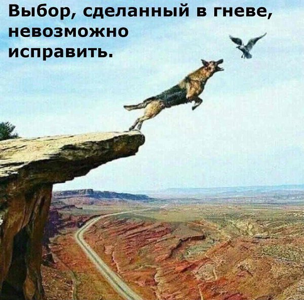  - 11  2018  15:53