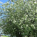 ���� �������, ��������, 47 ��� - ��������� 12 ����� 2018 � ������ �����������