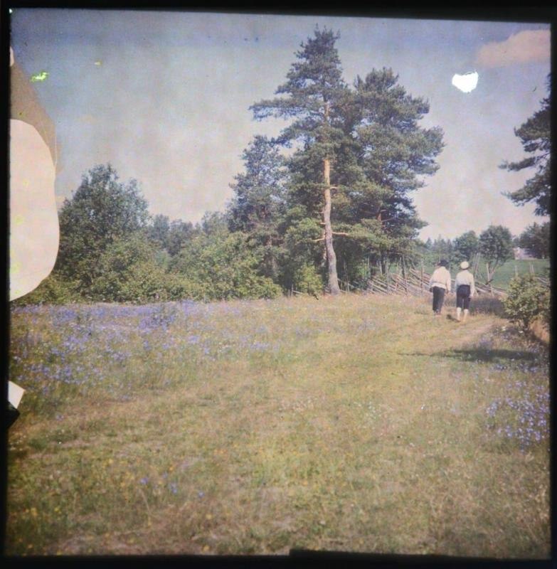     , 1900-1910- . #@book - 4