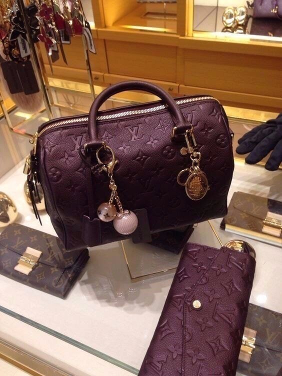 Louis Vuitton Bag - 8