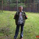  ,  , 37  -  16  2017    