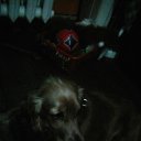 ���� ���������, ������ ��������, 55 ��� - ��������� 11 ������� 2017 � ������ ���� ����������