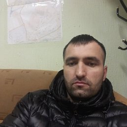 ����������, 39 ���, ������