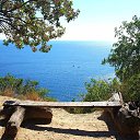 ���� �������, �����������, 42 ���� - ��������� 8 ����� 2018 � ������ ���� ����������