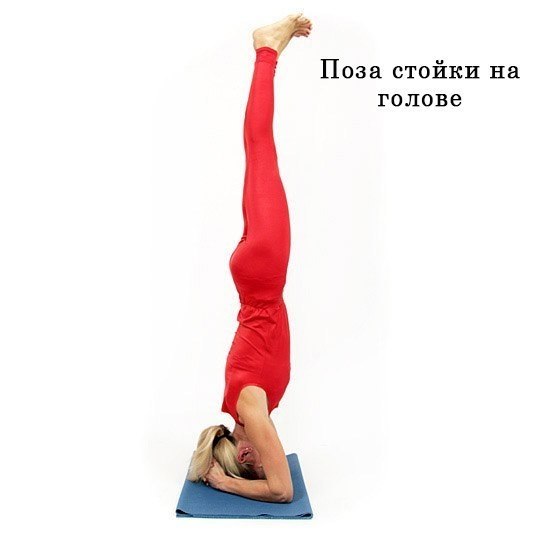 7 ����������� ��� ���� ��� �������� � ������� �����.����������� ������ ���������� ������ ��� ... - 6