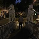 ���� ��������, ���������, 36 ��� - ��������� 14 ���� 2018 � ������ ���� ����������