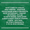 ���� ��������, �����, 35 ��� - ��������� 22 ��� 2018 � ������ ������ ��������