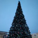 ���� ��������, �����, 62 ���� - ��������� 24 ������� 2017 � ������ �Avataria�