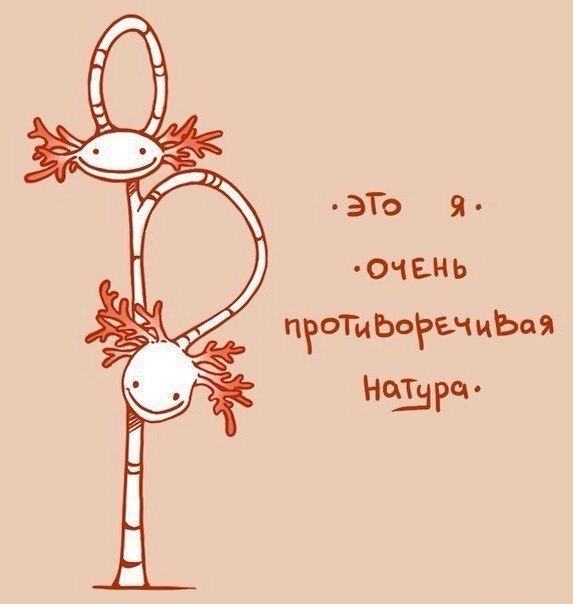       . - 3
