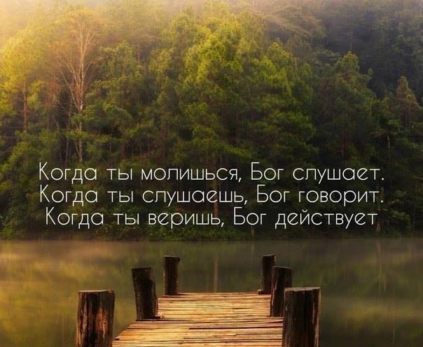   : -   , -  ,  -     ,  ...