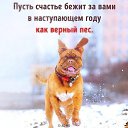���� ��������, ������, 49 ��� - ��������� 1 ������ 2018 � ������ ���� ����������
