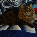 ���� ���, ��������� - ��������� 21 ��� 2018 � ������ ���� ����������