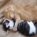 ���� ����, �������, 65 ��� - ��������� 28 ���� 2018 � ������ ���� ����������