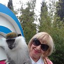 monkey and monkey.  ,  .    2019