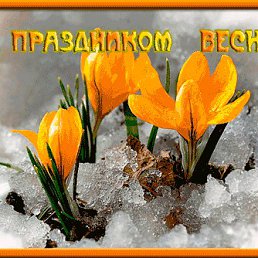 ���� ������, �������, 77 ��� - ��������� 25 ����� 2018