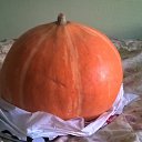 ���� �������, �����������, 28 ��� - ��������� 17 ������ 2018 � ������ �2017-2018 ������� ������������, �������, �������, ����������