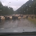 ���� ���������, ����������, 73 ���� - ��������� 11 ������ 2018