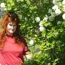 ���� �������, ������ - ��������� 27 ��� 2018 � ������ ���� ����������