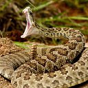 ���� A, ���� - ��������� 21 ������ 2018 � ������ ���� ����������