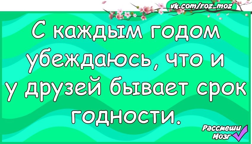 Стих про соню смешной. Стих сонечка. Стих для сони. Смешные стихи про соню. Смешные пословицы про соню.