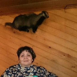 �����, ������������, 55 ���