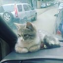 ���� Shmagi, �������, 55 ��� - ��������� 23 ������� 2018 � ������ ���� ����������