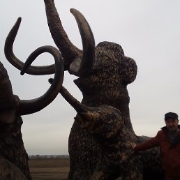 ���� ����� ������, �������, 43 ���� - ��������� 20 ������ 2018