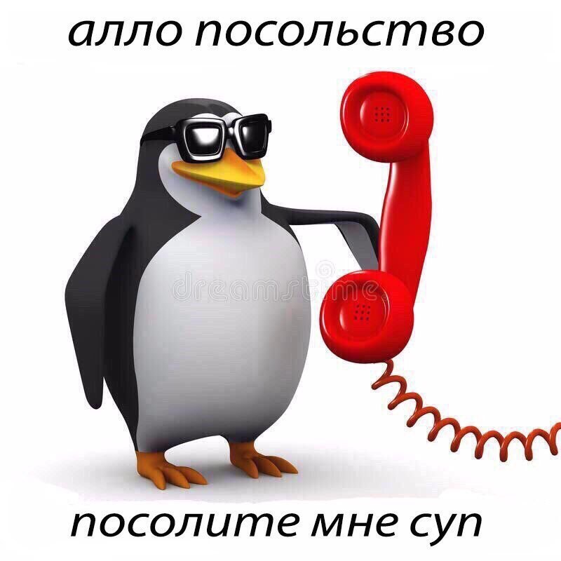     ,   D.- - 12