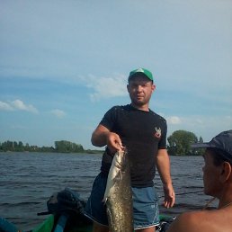 ������, �����, 41 ���