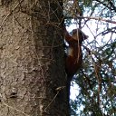 ���� Olga, ������������ - ��������� 28 ������� 2018 � ������ ���� ����������