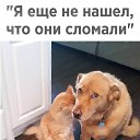 ���� Rigen, ������, 50 ��� - ��������� 4 ������� 2017 � ������ �������� ��������