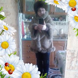 ���� ����*158*, ������, 66 ��� - ��������� 12 ���� 2018