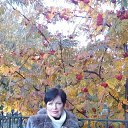 ���� ��������, ��������, 53 ���� - ��������� 19 ������ 2017