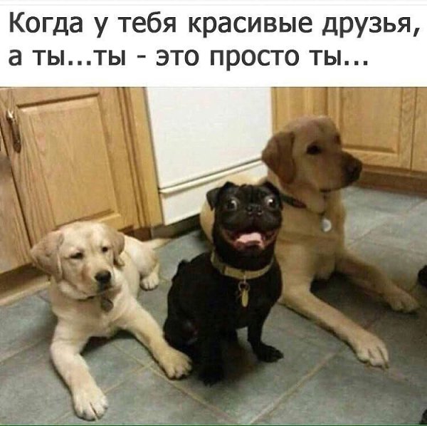    ? - 5