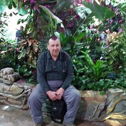 ������, �����������, 67 ���