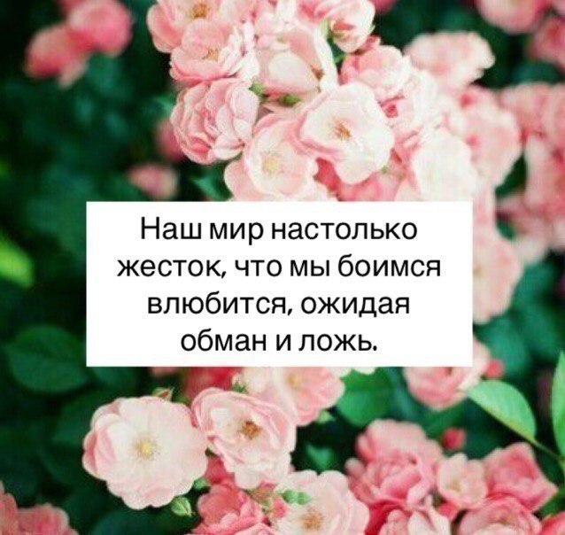    - 6  2018  02:50