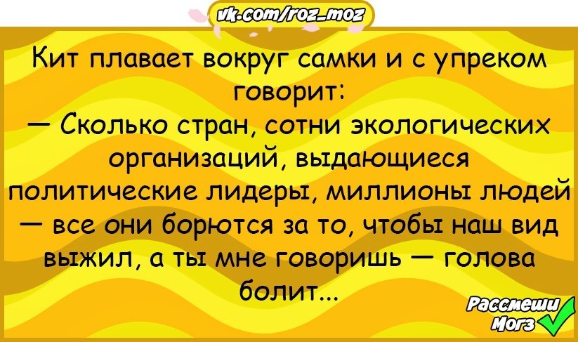  - 17  2018  02:39